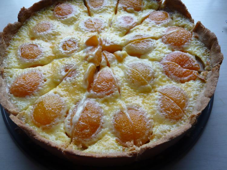 Fruchtiger Aprikosenkuchen | Ein Kochmeister Rezept