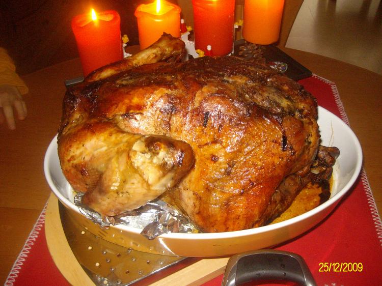 Pute Aus Dem Backofen - Rezepte Suchen