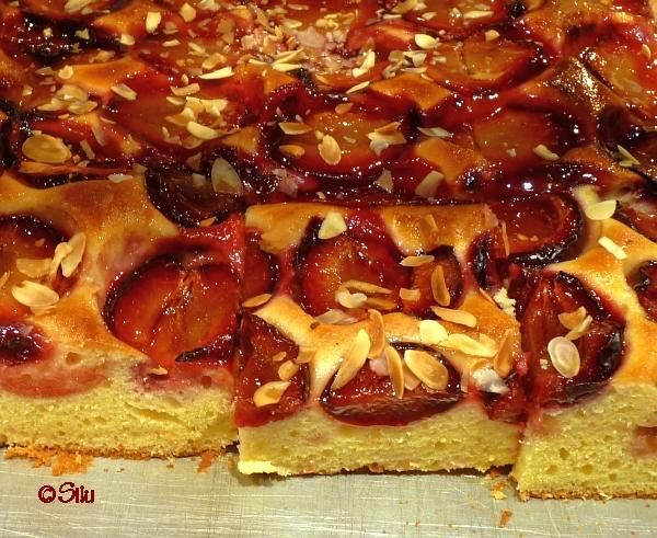 Zwetschgenkuchen aus feiner Sandmasse | Ein Kochmeister Rezept