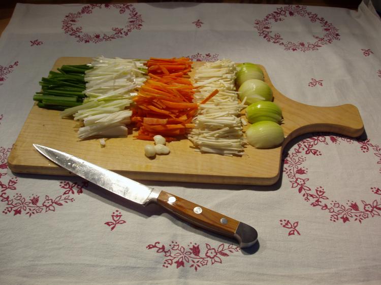 Foto Wels im Wurzelsud