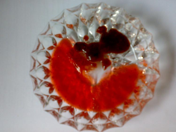Foto Gaby's Schokominz Erdbeermarmelade
