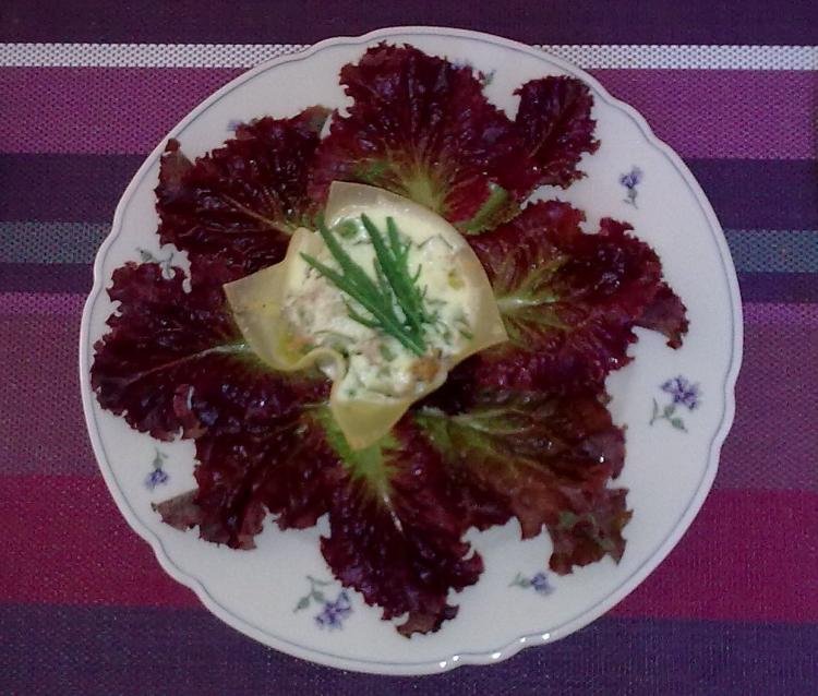Foto Pastanester